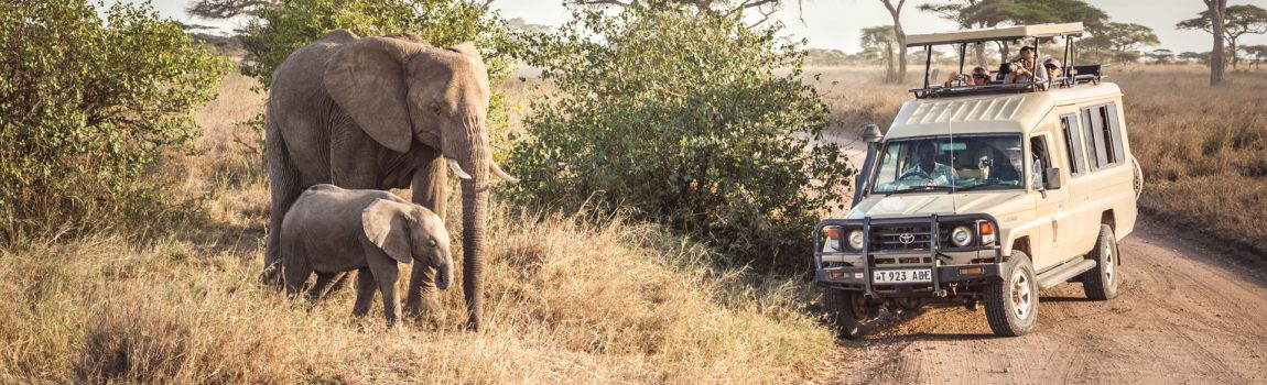 tarangire national park